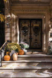 Colorful pumpkins and flowers on the stairs of an old brownstone home in new york city during autumn