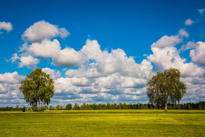 Scenic view of field against sky