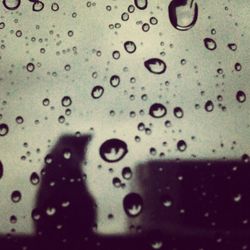 Close-up of water drops on glass