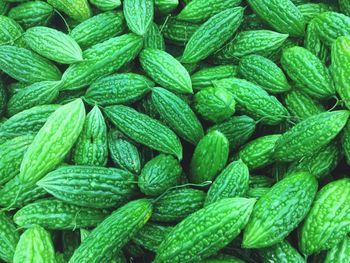 Full frame shot of green beans