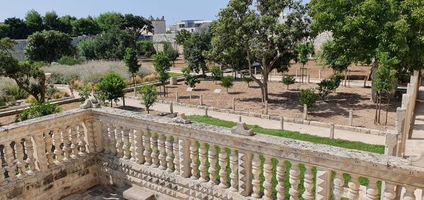 High angle view of plants