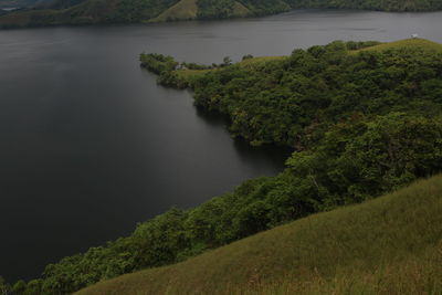 High angle view of river amidst trees