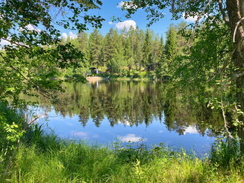 Scenic view of lake against trees in forest