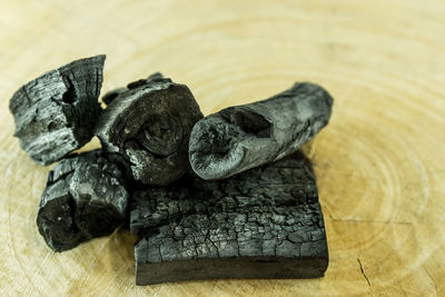 Close-up of lizard on wood