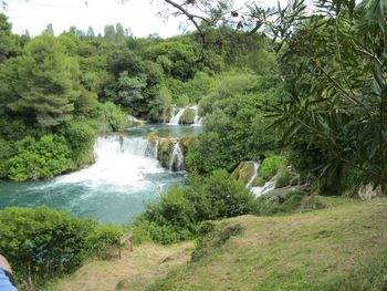 Scenic view of waterfall in forest