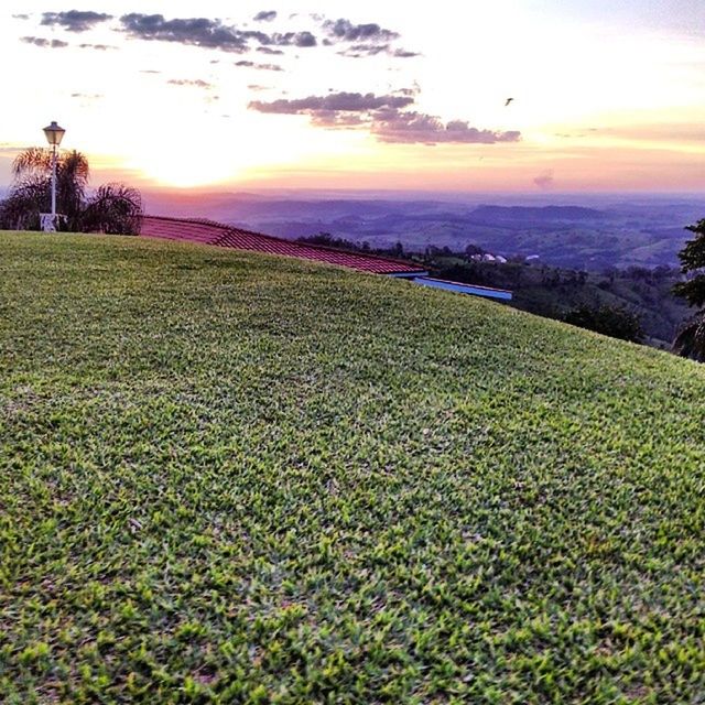 sunset, sky, tranquil scene, grass, sun, scenics, beauty in nature, tranquility, water, sea, nature, sunlight, landscape, growth, field, horizon over water, idyllic, green color, plant, tree