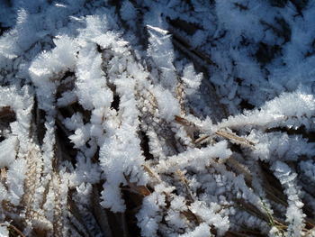 Close-up of snow