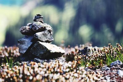 Stack of stones on field