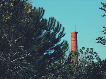 Low angle view of trees against sky