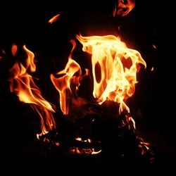 Close-up of bonfire at night