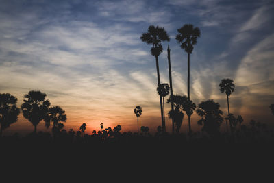 Silhouette palm trees against sky during sunset