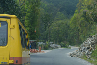 Road amidst trees and mountains