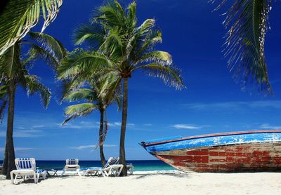 Coconut palm trees on beach against clear blue sky