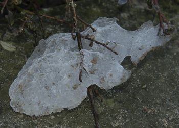 Close-up of rocks