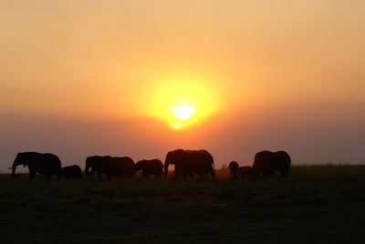 Silhouette people walking on landscape against sky during sunset