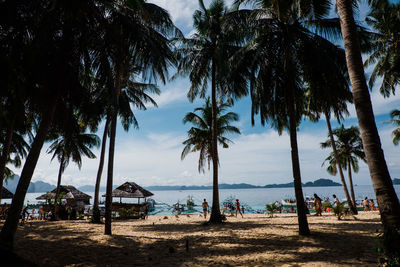 Palm trees on beach against sky