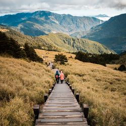 Rear view of people walking on mountain road