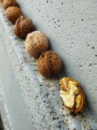 High angle view of nuts on table