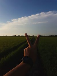 Cropped hand of person gesturing peace symbol on field against sky
