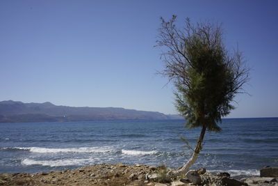 Scenic view of sea against clear blue sky