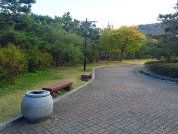 Footpath in park