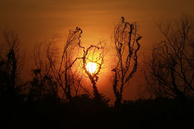 Silhouette plants against romantic sky at sunset