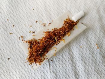 High angle view of dried leaf on white table