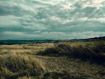 Scenic view of field against sky