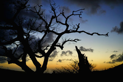 Low angle view of silhouette bare tree against sky at sunset