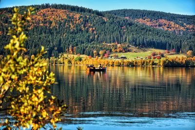 Scenic view of lake by trees