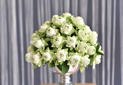 Close-up of white rose flowers in vase