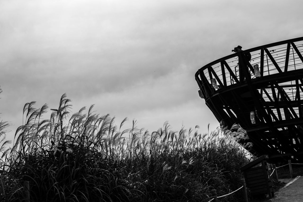 sky, built structure, cloud - sky, building exterior, architecture, low angle view, cloudy, field, weather, cloud, overcast, nature, outdoors, grass, plant, house, abandoned, no people, growth, dusk