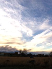 Scenic view of field against sky during sunset