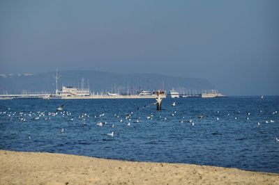 Sailboats in sea against clear sky