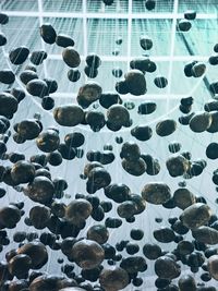 Full frame shot of rocks in sea