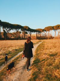 Rear view of woman  and dogs walking on road against clear sky