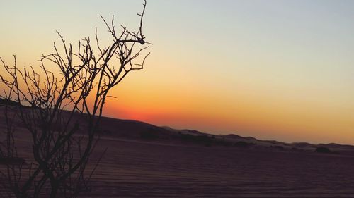 Silhouette bare tree against sky during sunset