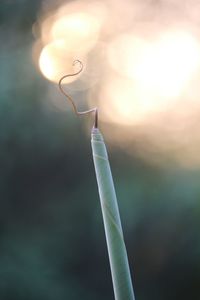 Close-up of lighting equipment hanging against sky