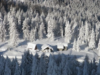 Mountain landscape after heavy snowfall