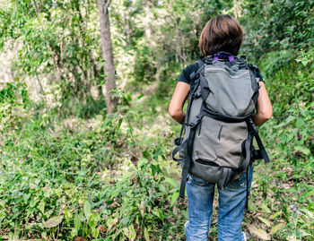 Rear view of a man standing in forest