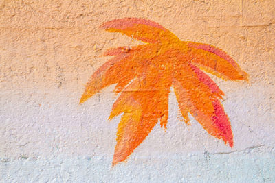 Close-up of orange painted on wall