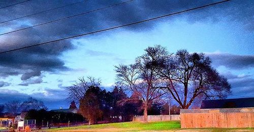 Bare trees on grassy field against cloudy sky