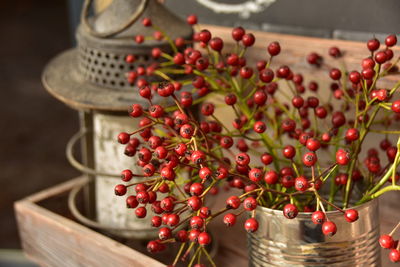 Close-up of red berries in basket