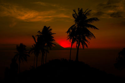 Silhouette palm trees against sea during sunset