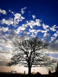 Low angle view of silhouette bare tree against sky