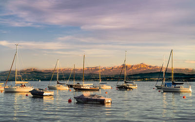 Sailboats moored in sea against sky during sunset