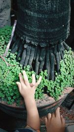 High angle view of woman hand holding potted plant