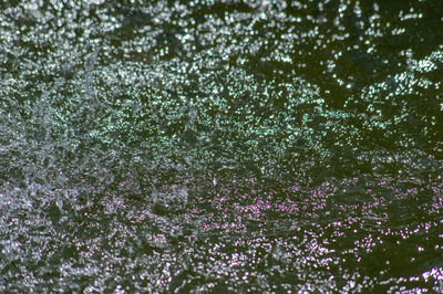 Full frame shot of raindrops on plant