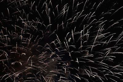 Low angle view of firework display at night