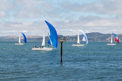 People on sailboats sailing in sea